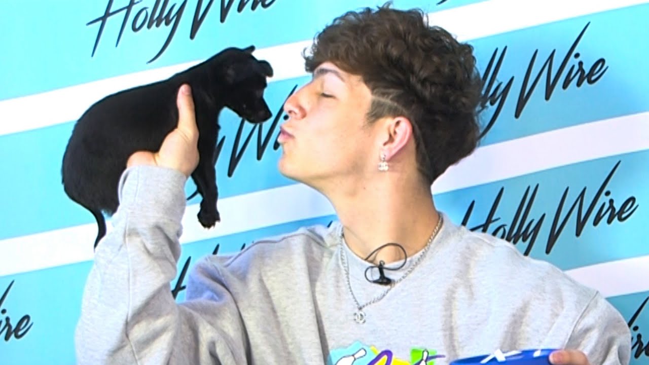 Tayler Holder Addresses Dixie D'Amelio Dating Rumors While Playing With Puppies! | Hollywire