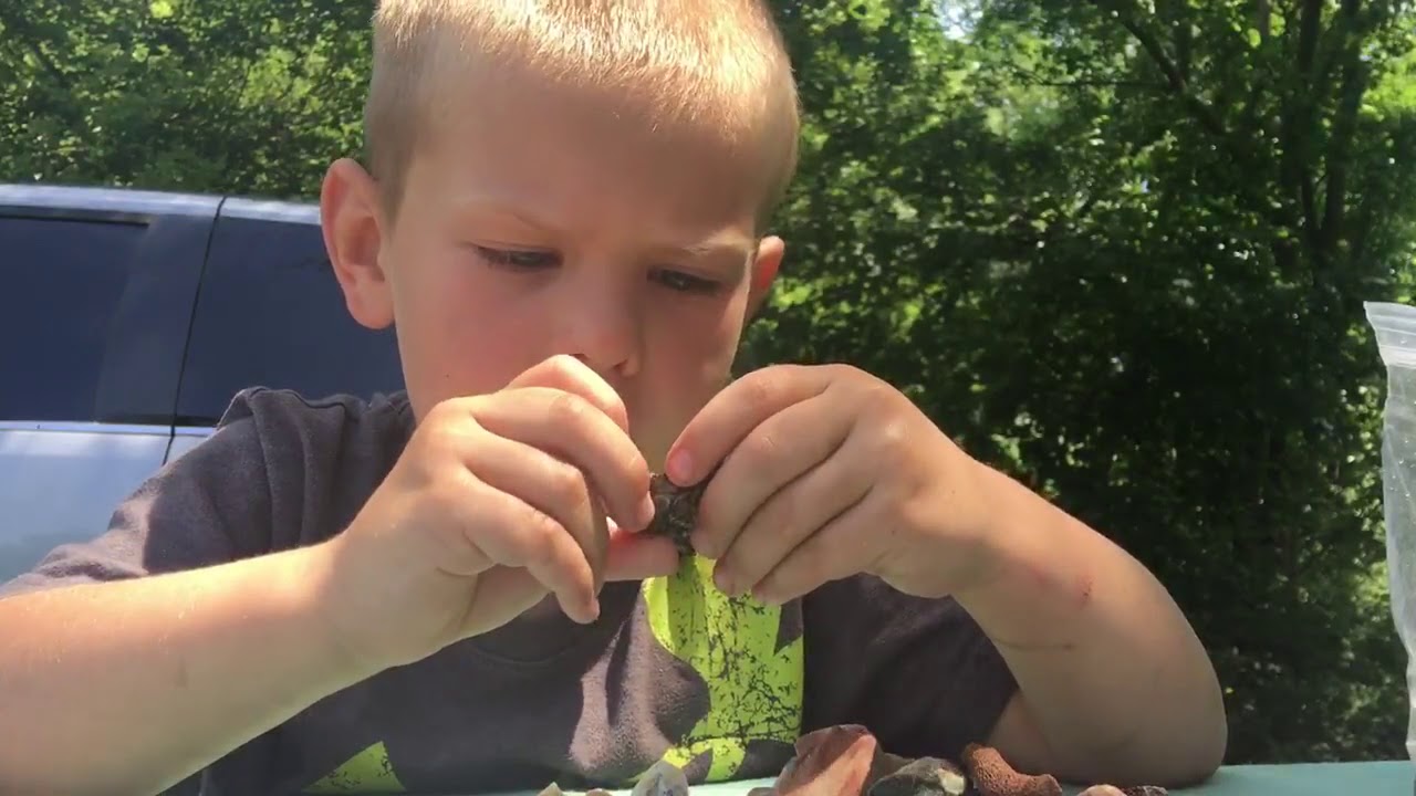 Crystal identification from Galena, Illinois!