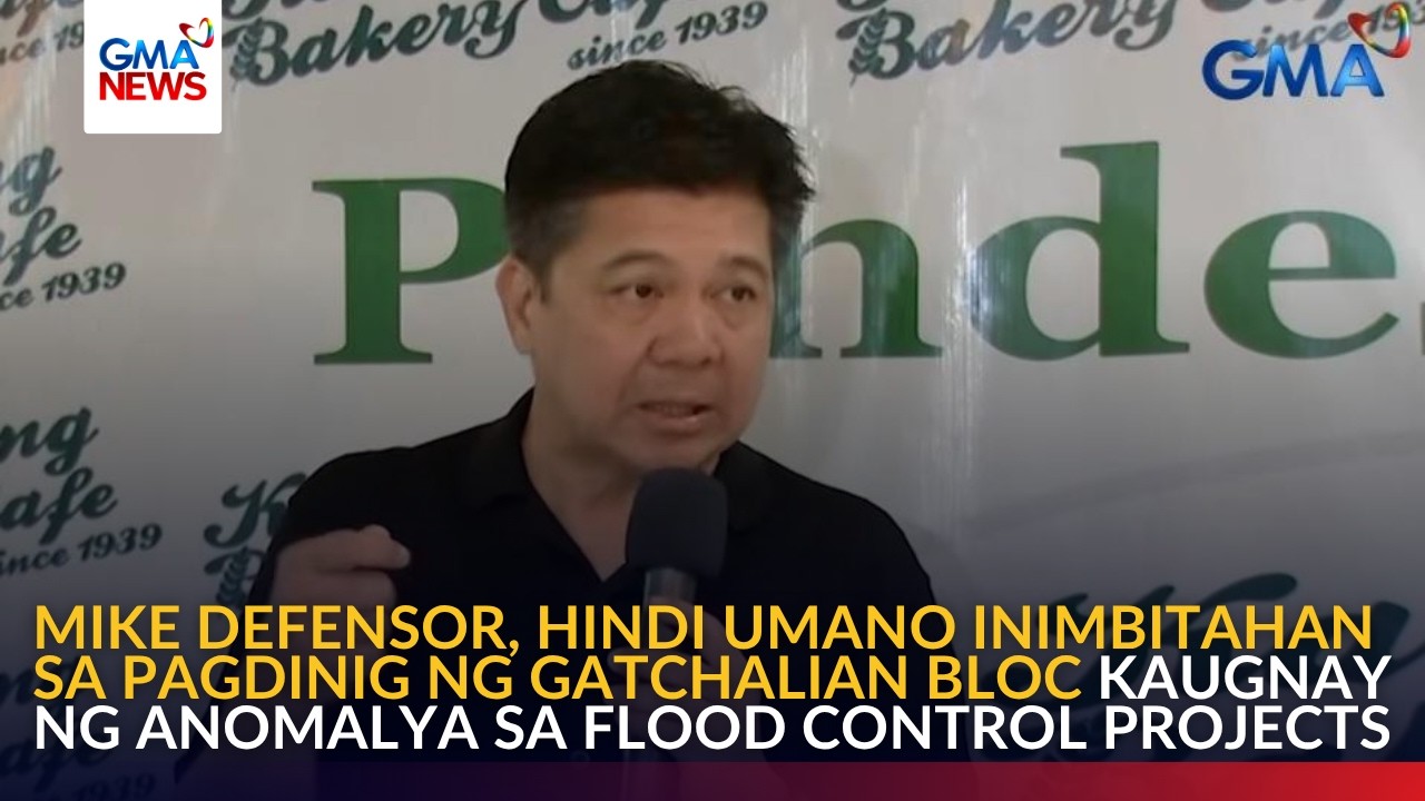 Ex-Cong. Mike Defensor, hindi umano inimbitahan sa pagdinig ng Gatchalian bloc | GMA News