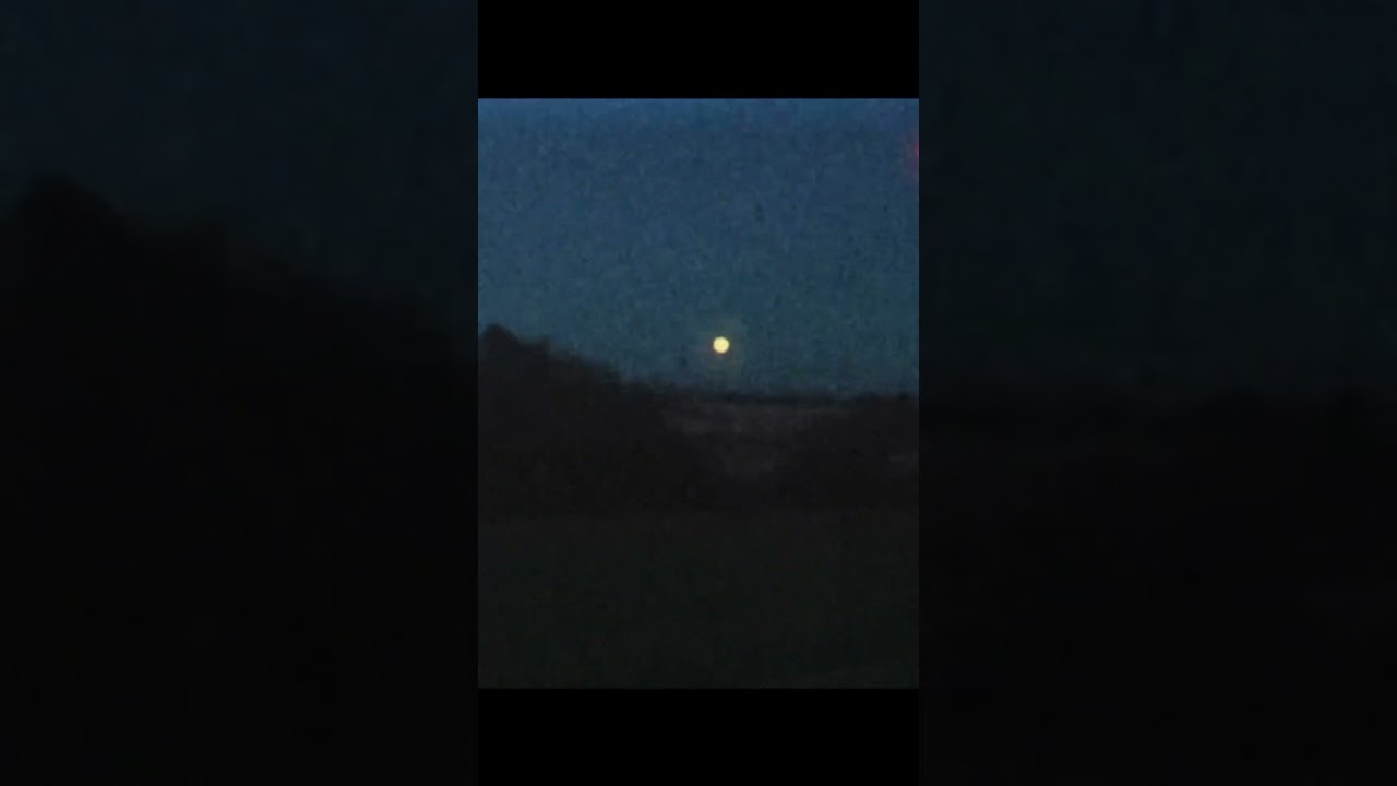 kitty edit #edit #vhs #vibe #memphis #phonk #aesthetic