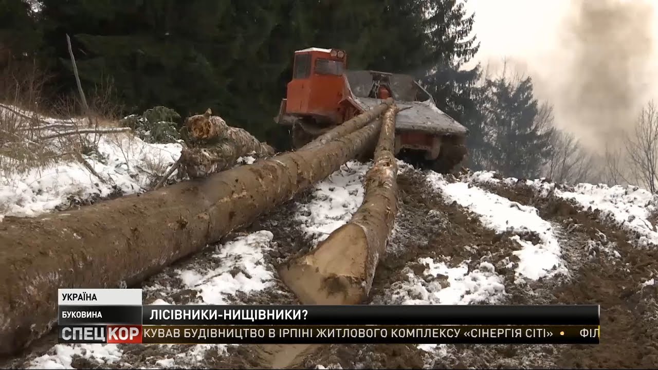 Лесники уничтожили срубленными деревьями одну из проток Смугарского водопада – активисты Буковины