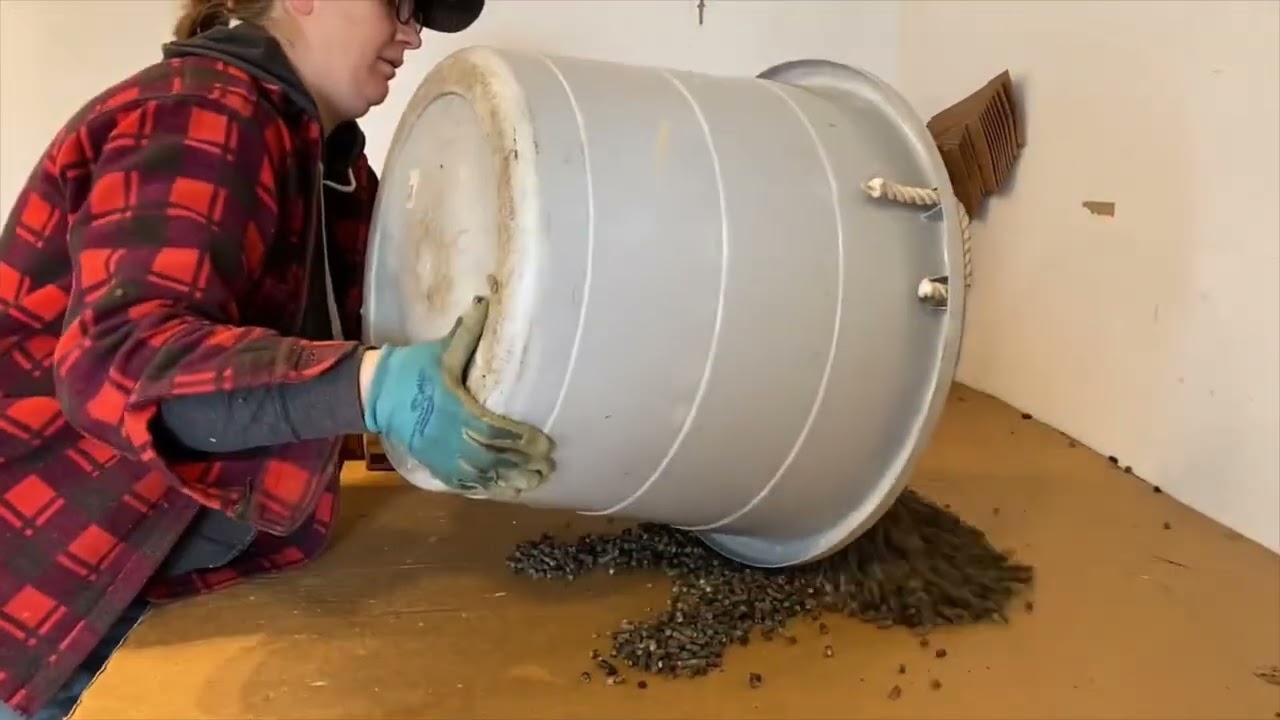 Koyun Yünü Gübresi Bitkilere Nasıl Uygulanır - Wool Pellet Fertilizer