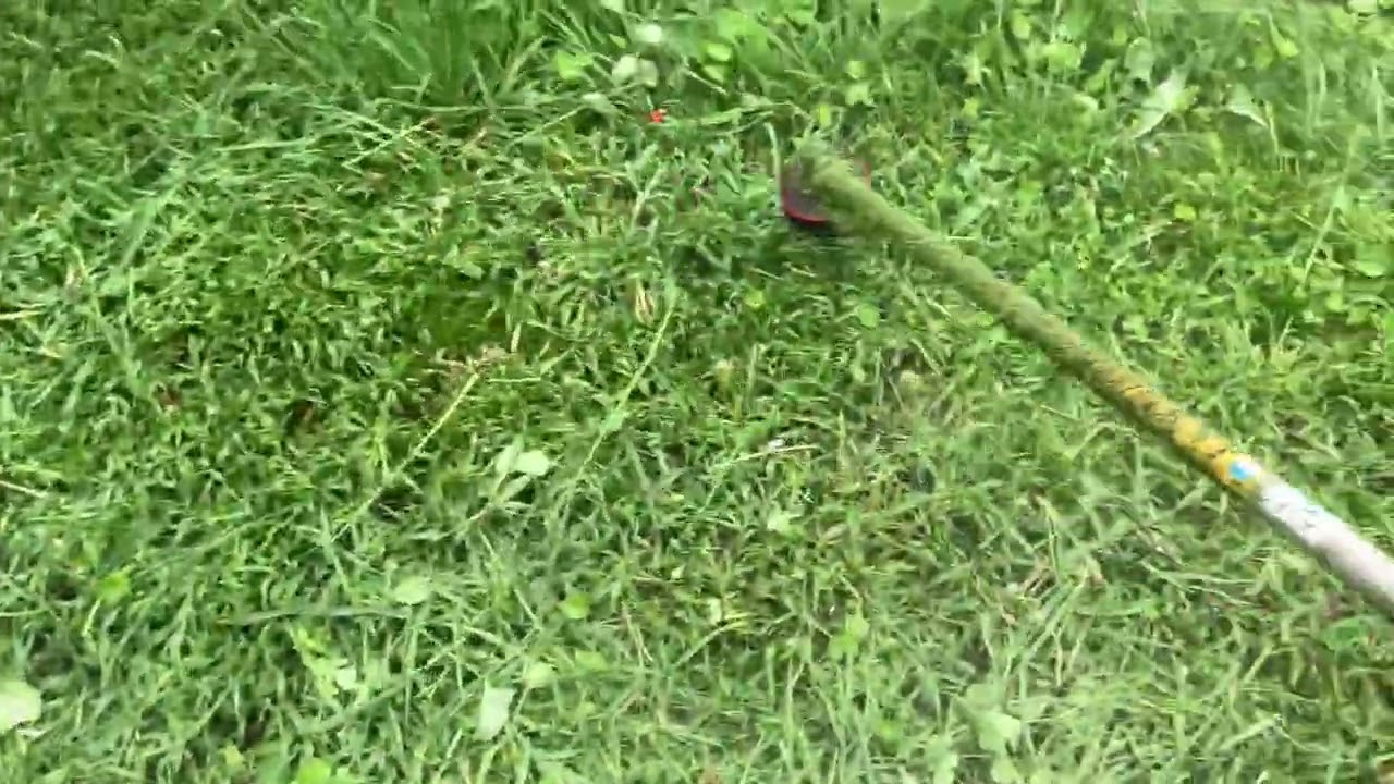 Whipper snipping wet grass in the rain