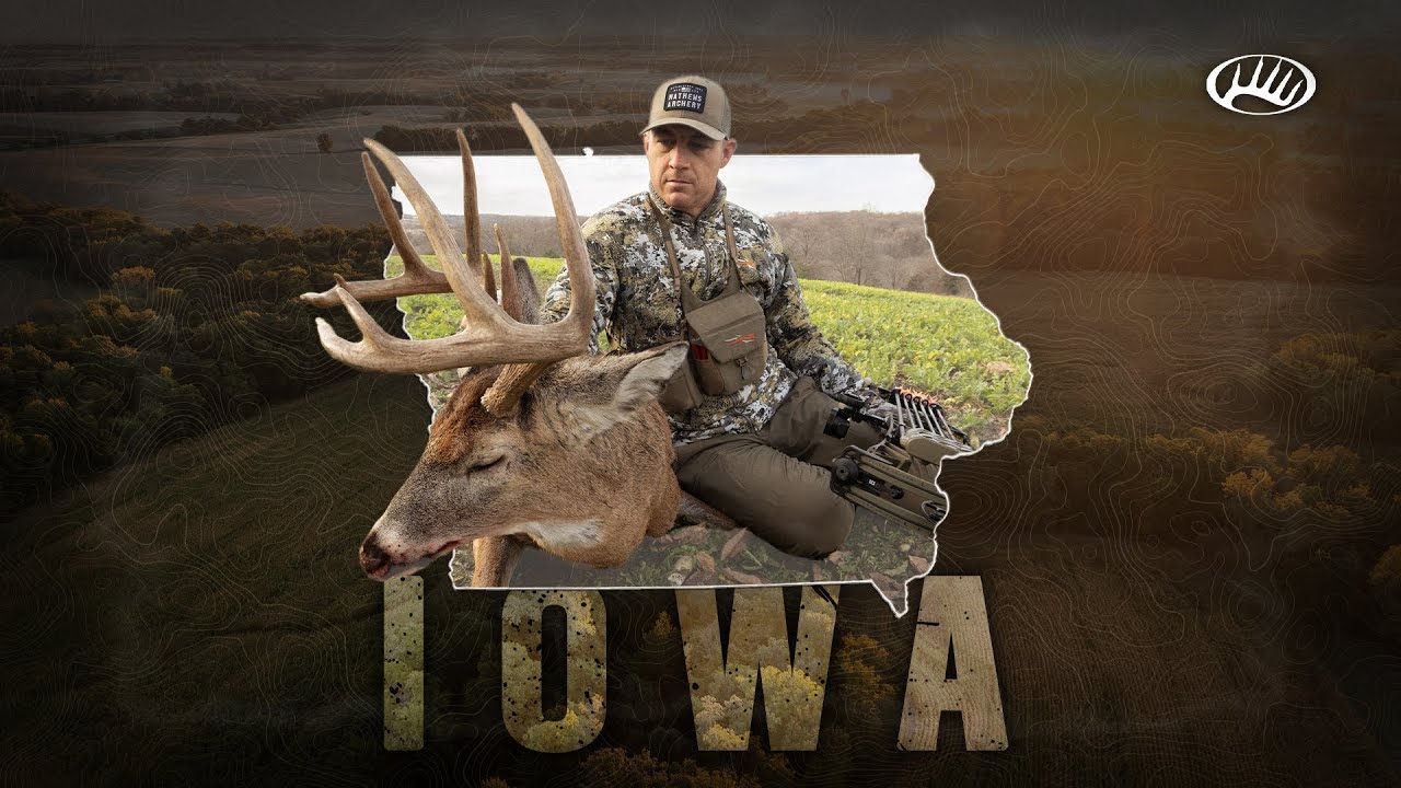 Chasing a Mature Iowa Buck | November Whitetail