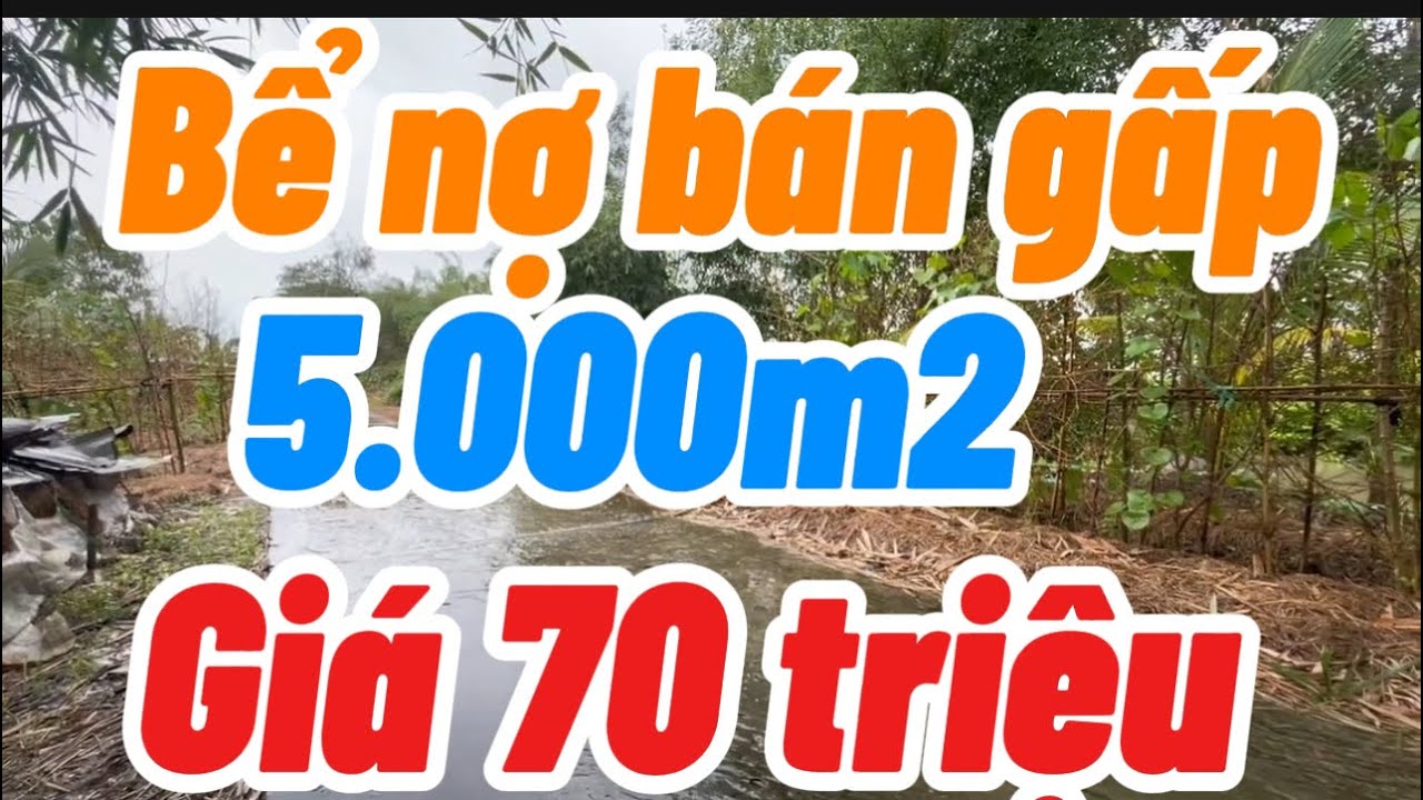 Bể nợ bán gấp 5.000m2 đất ruộng mặt tiền đường dal giá 70 triệu tỉnh kiên Giang 