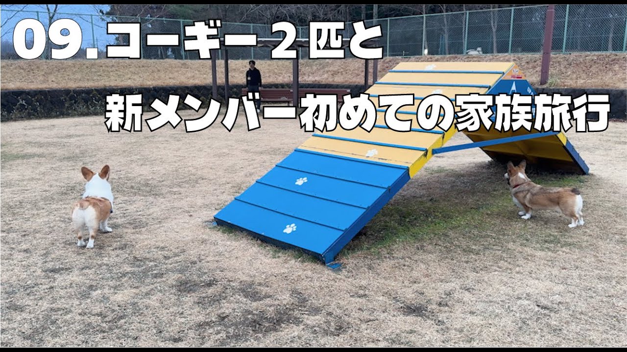 09.コーギー2匹と新メンバー初めての家族旅行