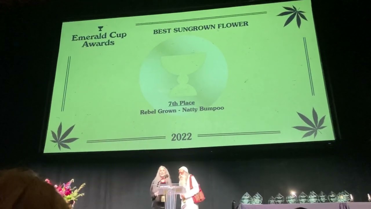 Sun grown award winners 2022 Emerald Cup!