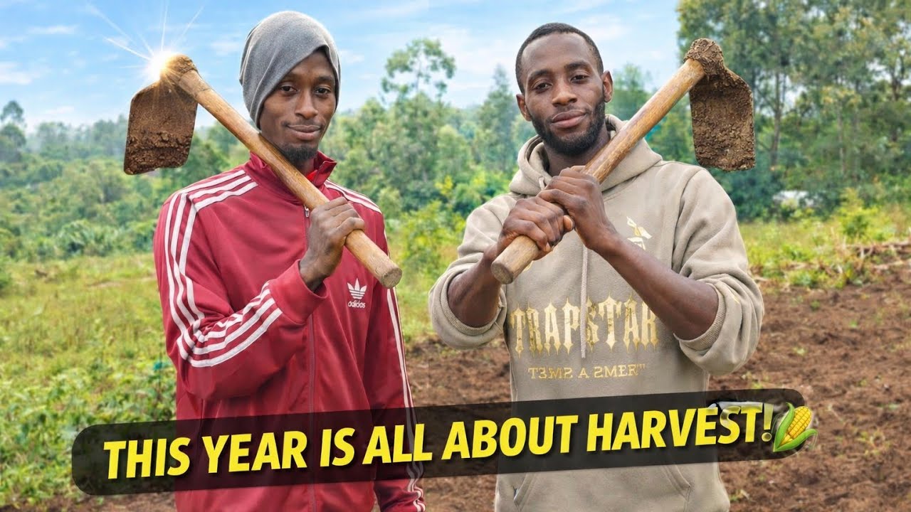 «В этом году мы нацелены на большой урожай, упорный труд и успех! 🌽💪»