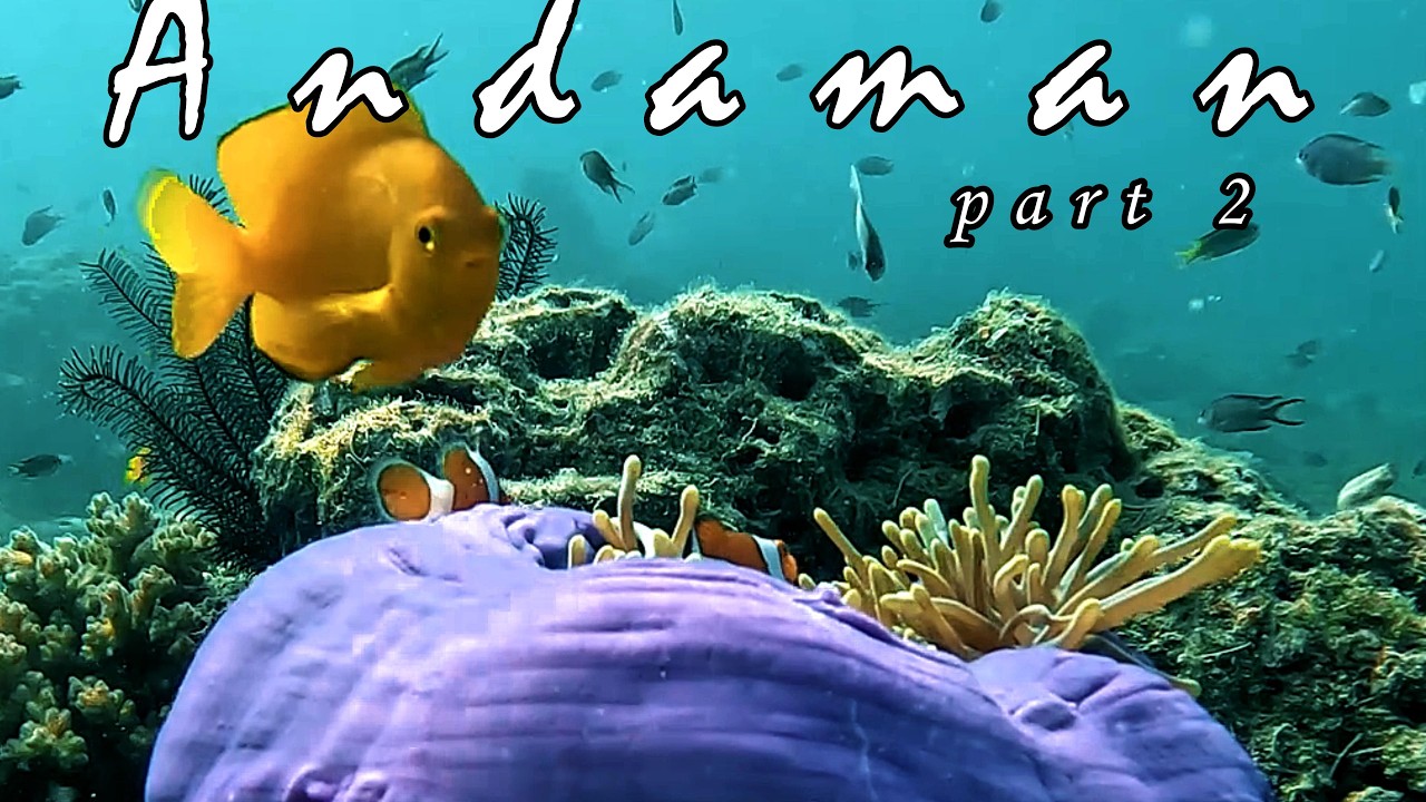 Scuba Diving in Andaman | Elephant Beach | Sea Walk