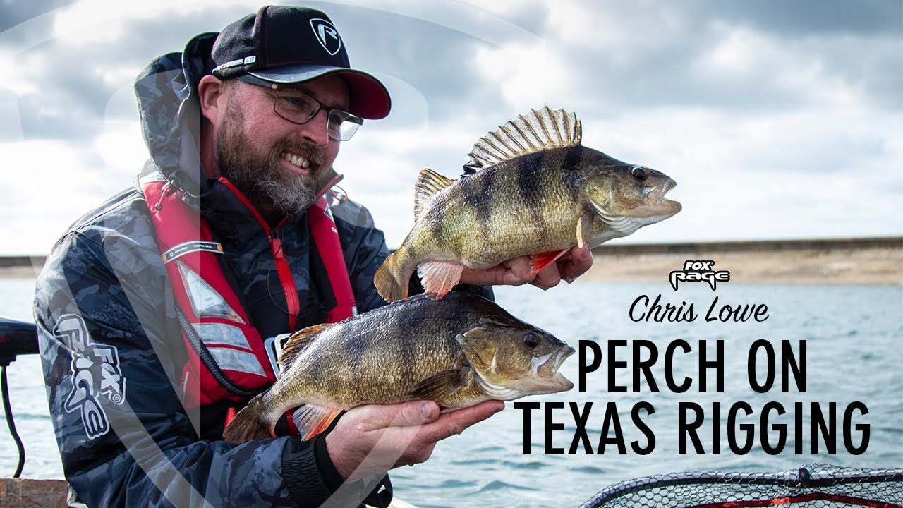 *** FOX RAGE TV *** PERCH ON TEXAS RIGS