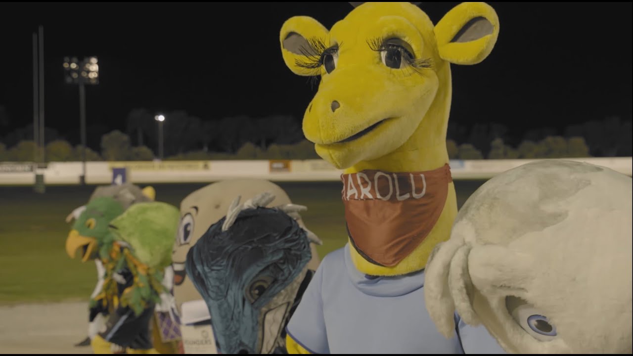 New Zealand Today - The 2009 Mascot Race Scandal