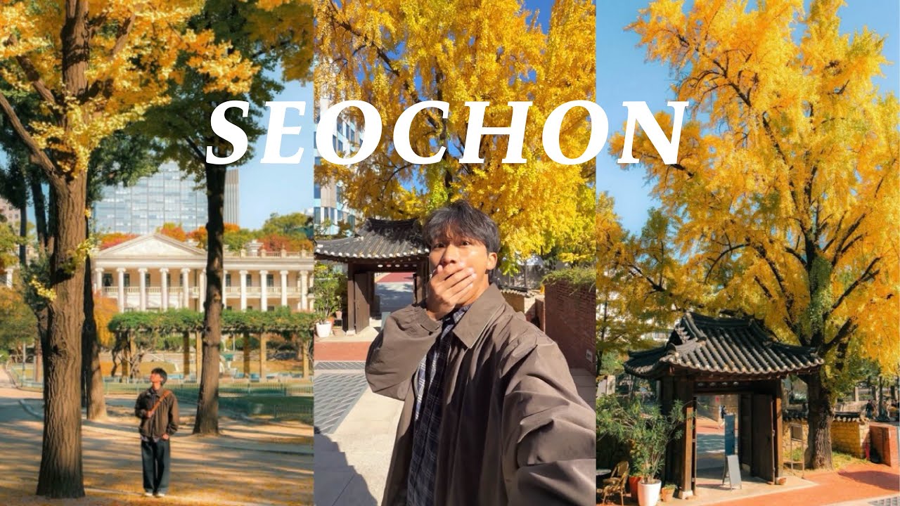 그래요. 지금 가기 좋은 서울 가을 산책 코스🐿️🍁 [균샘's 가을 출사 PICK] #서촌 #덕수궁 #남산