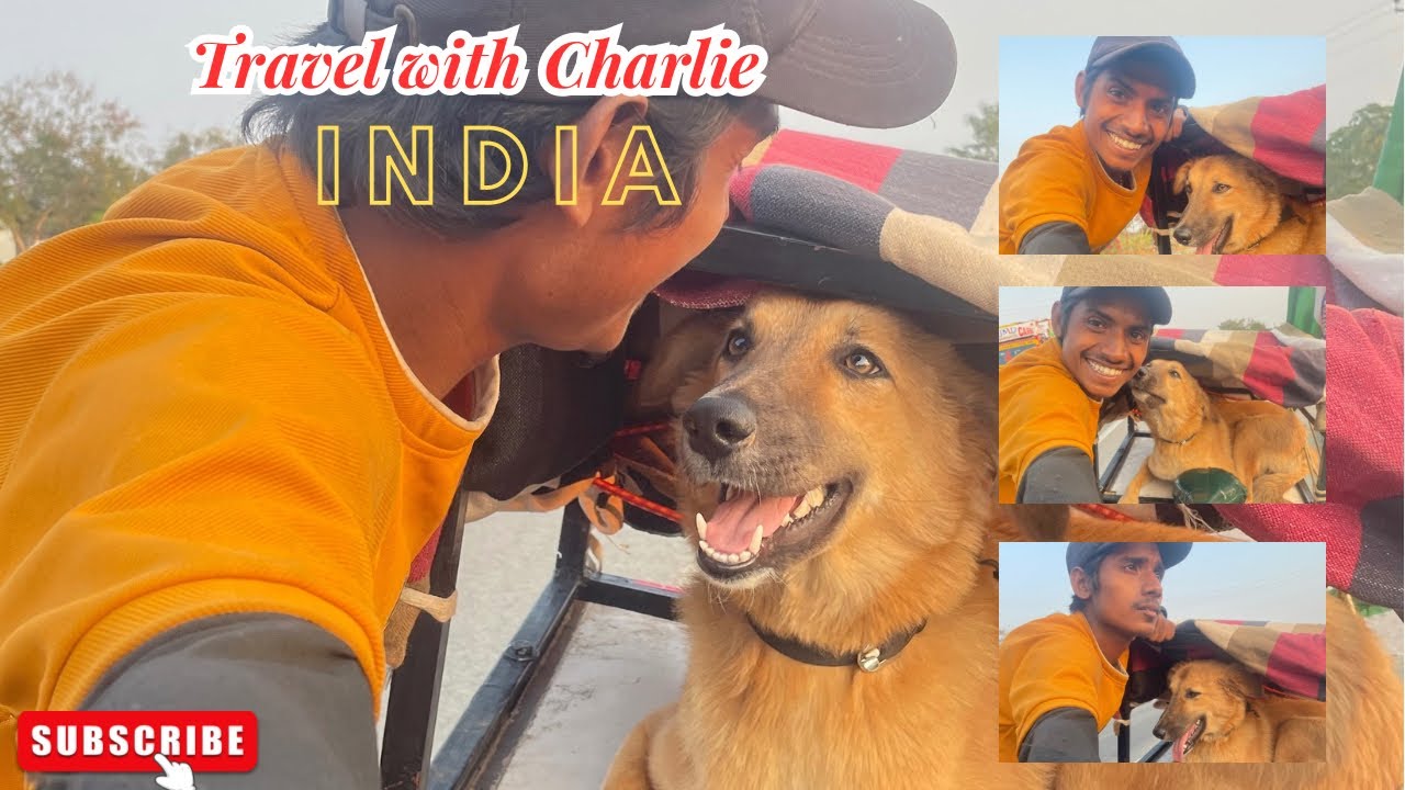 12 jotirlinga 4Dham Cycle 🚴 Yatra With Charlie 🦮@safarmeinrahi