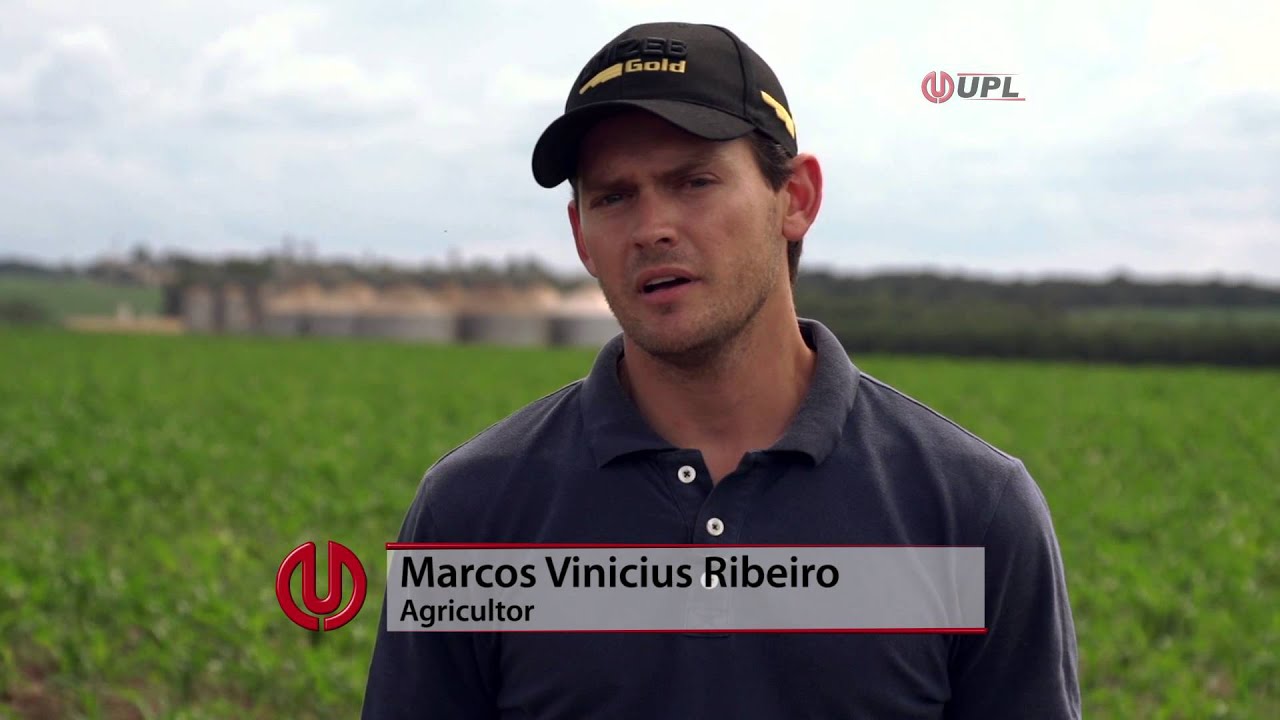 Momento UPL Unizeb Gold: Resultado surpreendente de produtividade.
