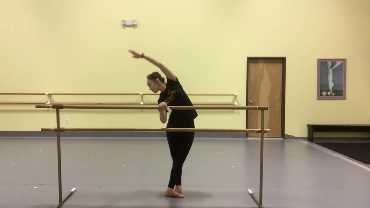 Mini Ballet Barre