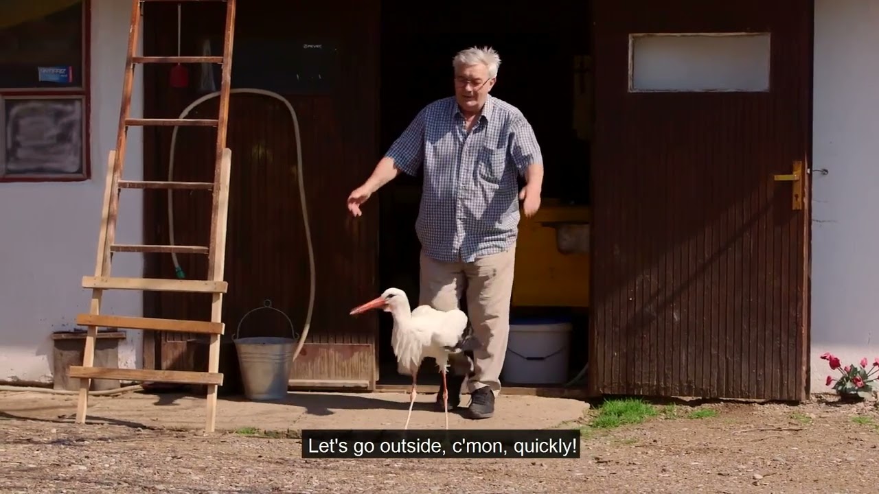 Storkman Trailer