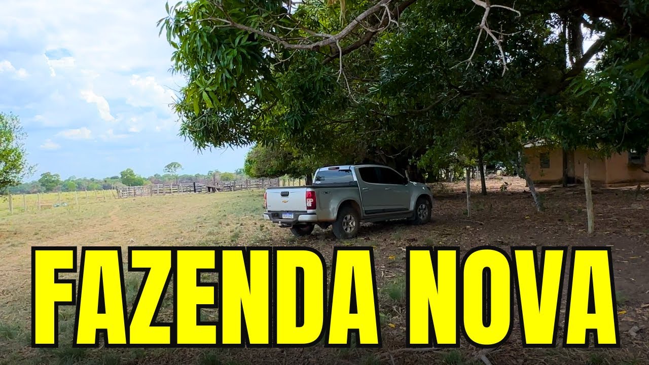 Nossa Nova Fazenda - Berro do Boi