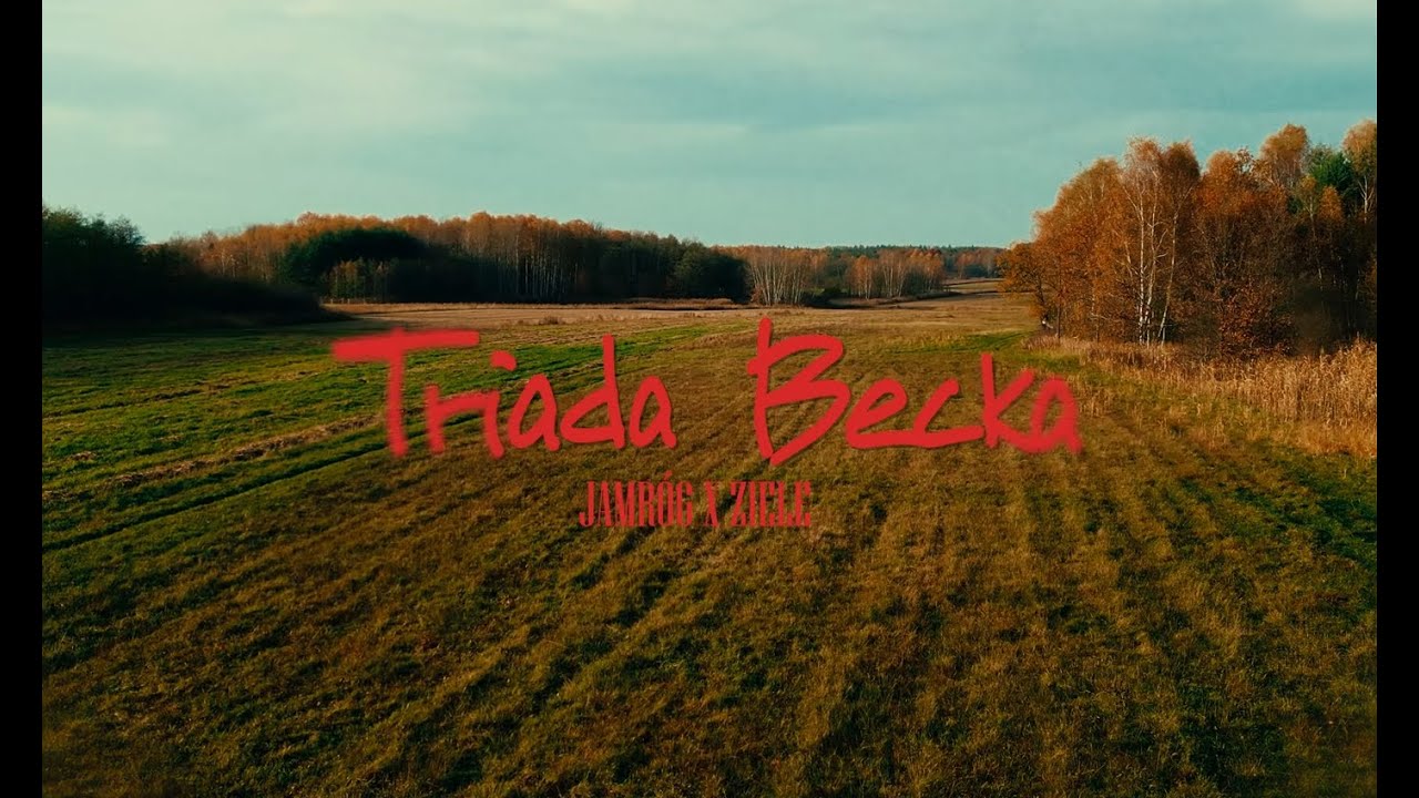 Jamr&oacute;g & Ziele - Triada Becka (🎥@bortnowski.vidz)