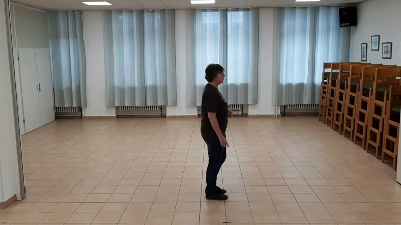 Flobi Slide Lernvideo Teach & Dance Line Dance Biene Teil 1