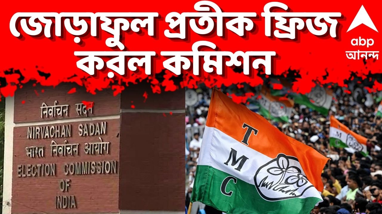 Trinamool Congress LIVE | তৃণমূল নাম ও জোড়াফুল প্রতীক ফ্রিজ করল কমিশন | ABP Ananda LIVE