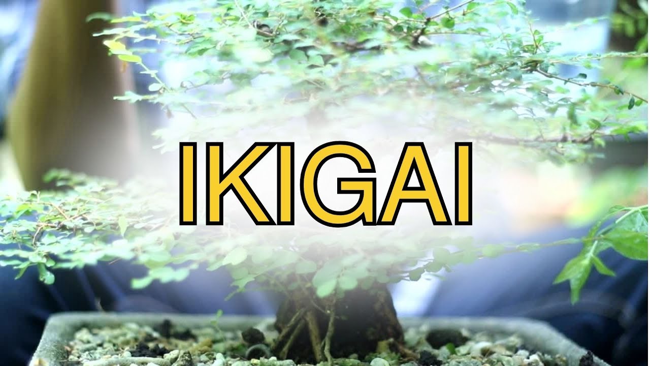 Ikigai Explained: Japan’s Method for Lifelong Happiness