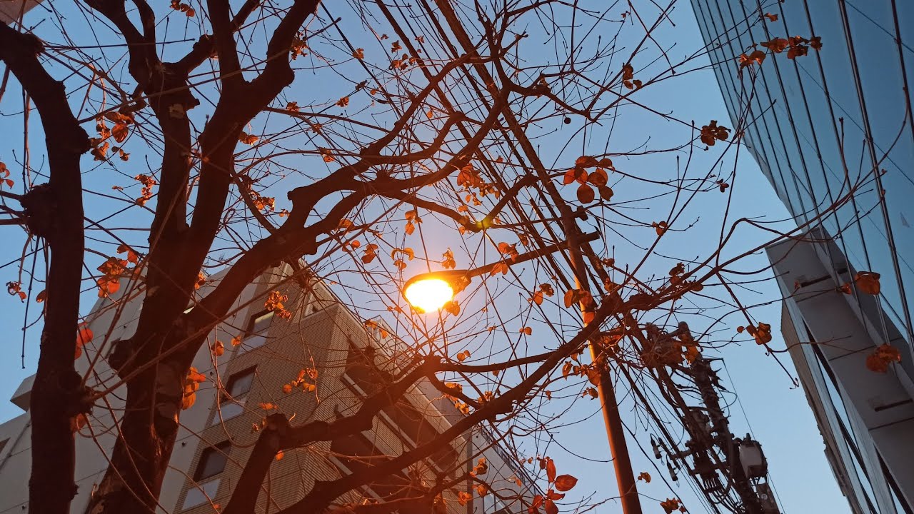 impressions of tokyo (part 4)