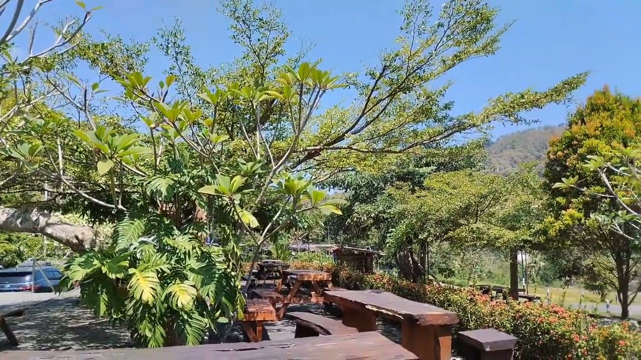 Persawahan Yang Indah