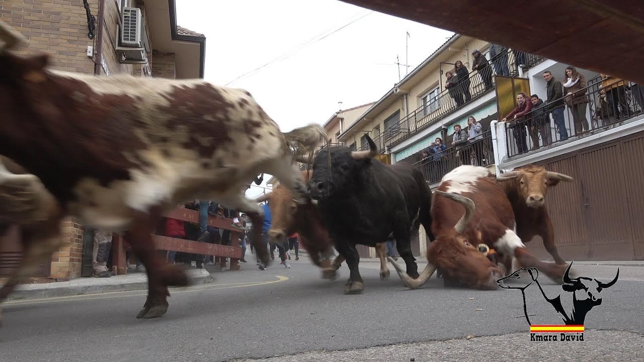 Fiestas de San Blas en Valdemorillo, sábado 8 Febrero 2020