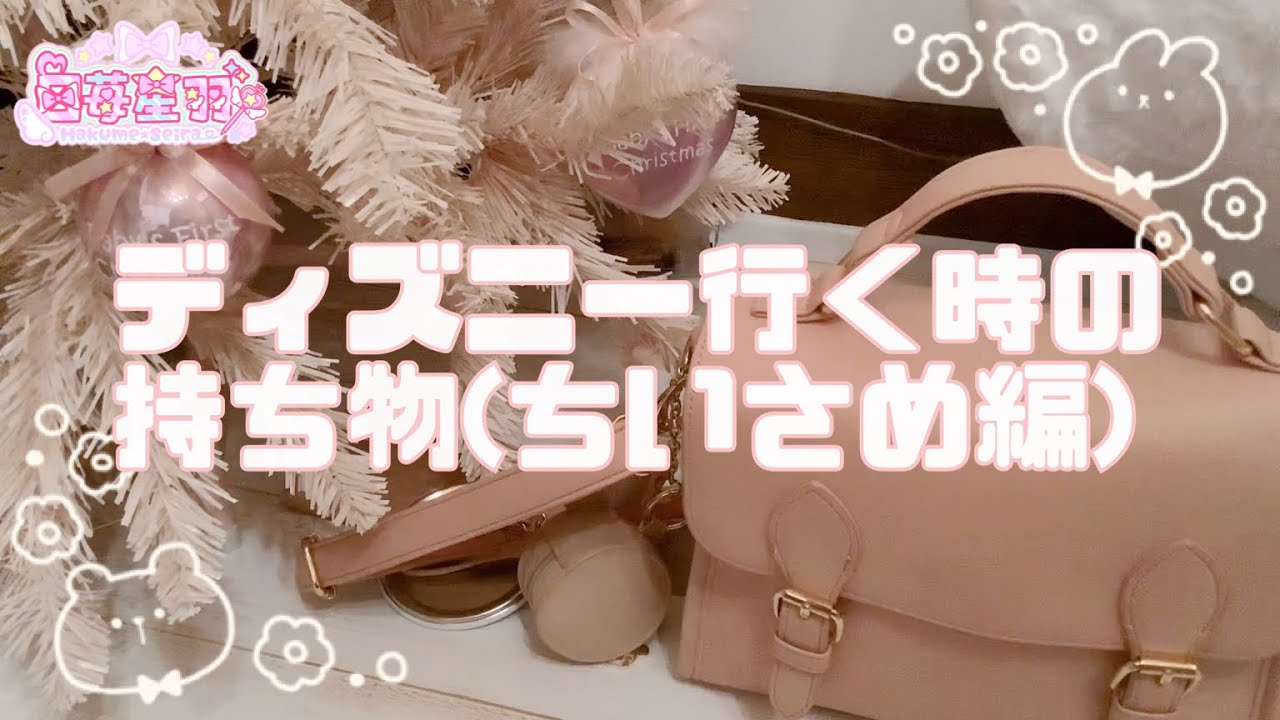 【ディズニー】行く時の持ち物(小さめの鞄編)【インパ】