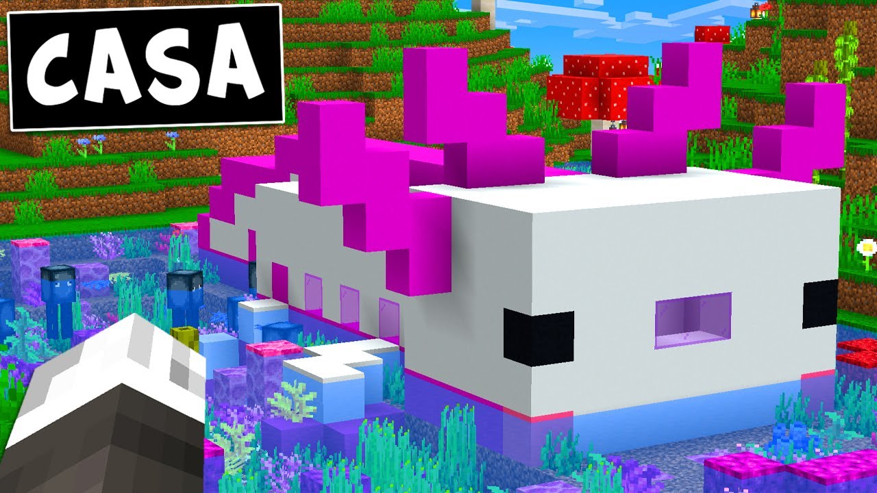LA NUOVA CASA DELL' AXOLOTL SU MINECRAFT