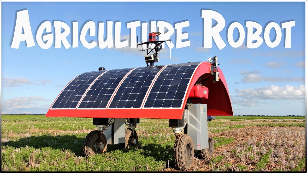 LadyBird Solar Robot: Amazing Agriculture Robot | This is the Future of Farming
