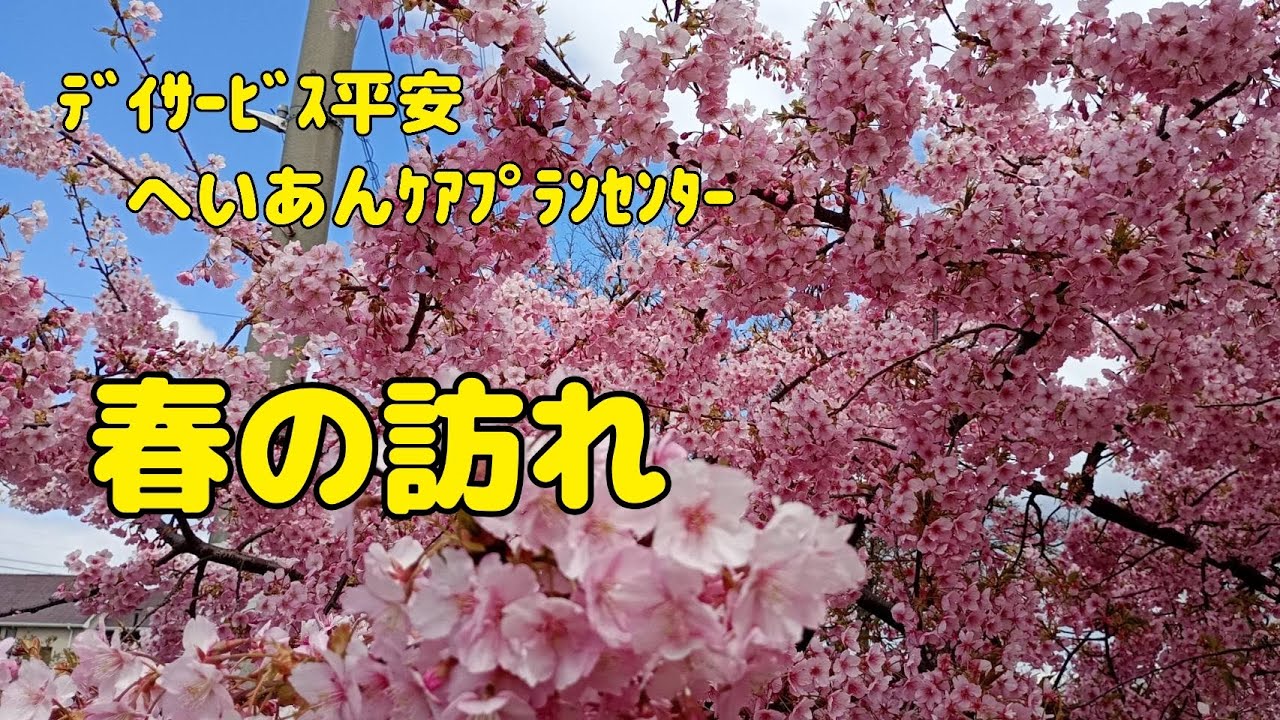 【Vlog791】ﾃﾞｲｻｰﾋﾞｽ平安　へいあんｹｱﾌﾟﾗﾝｾﾝﾀｰ  春の訪れ