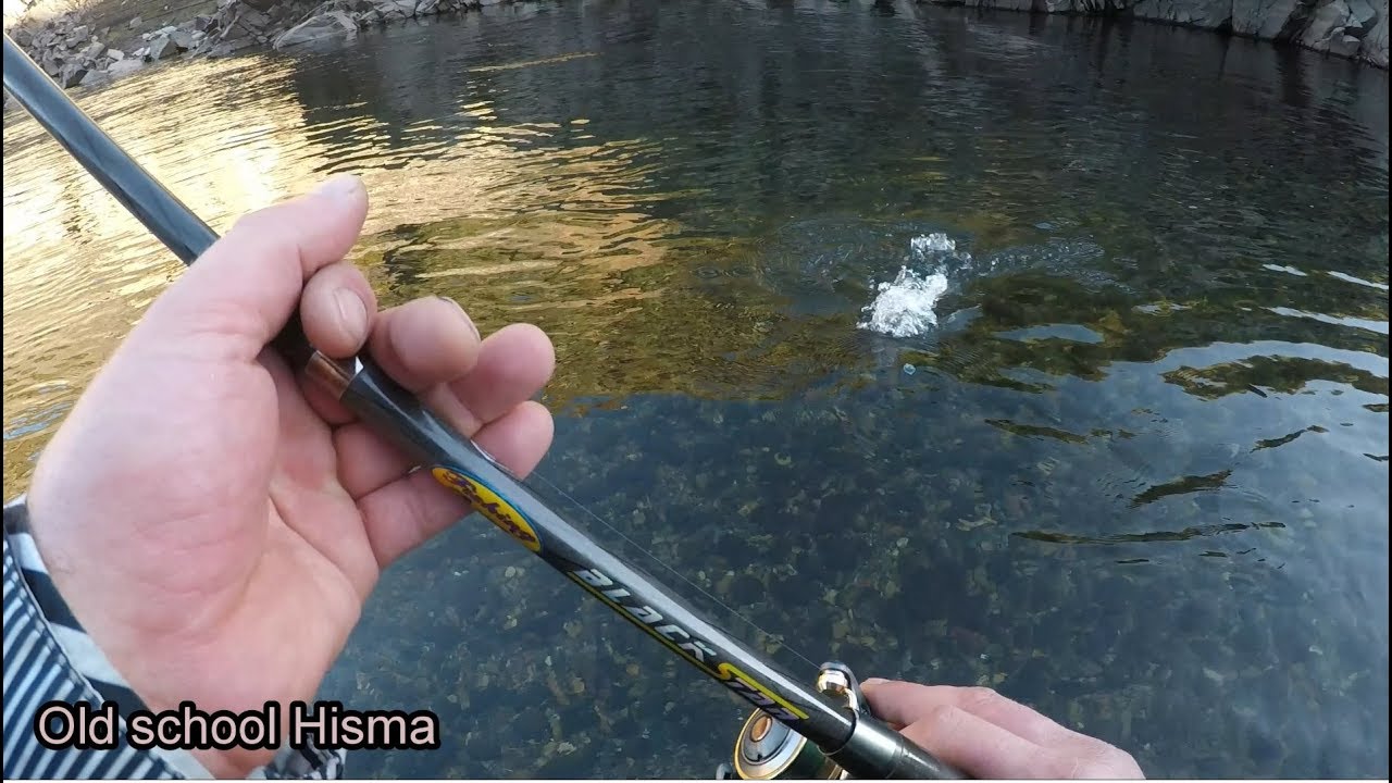 Impresionante trucha a mosquito pesca en Invierno