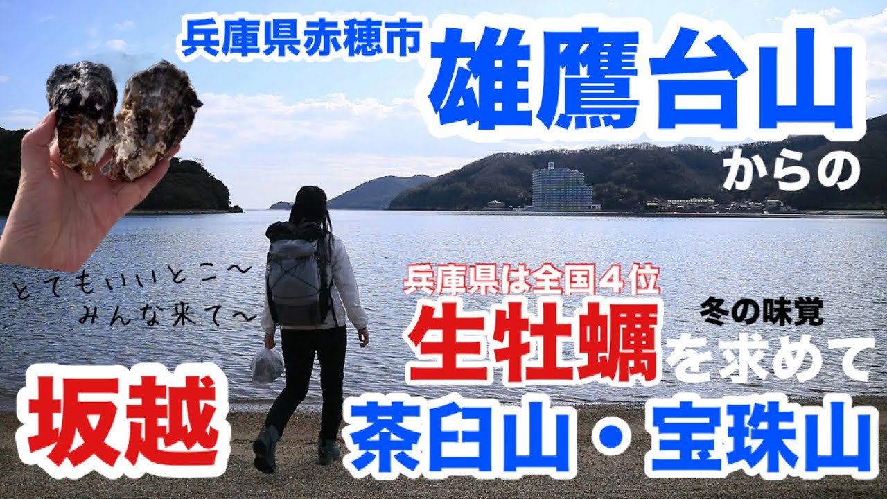 【女ひとり登山】雄鷹台山・茶臼山・宝珠山（兵庫県赤穂市）冬の味覚・牡蠣を求めて赤穂のレトロなまち並みが残る坂越へ。播州赤穂駅〜坂越駅。初心者さんも楽しめるはず。