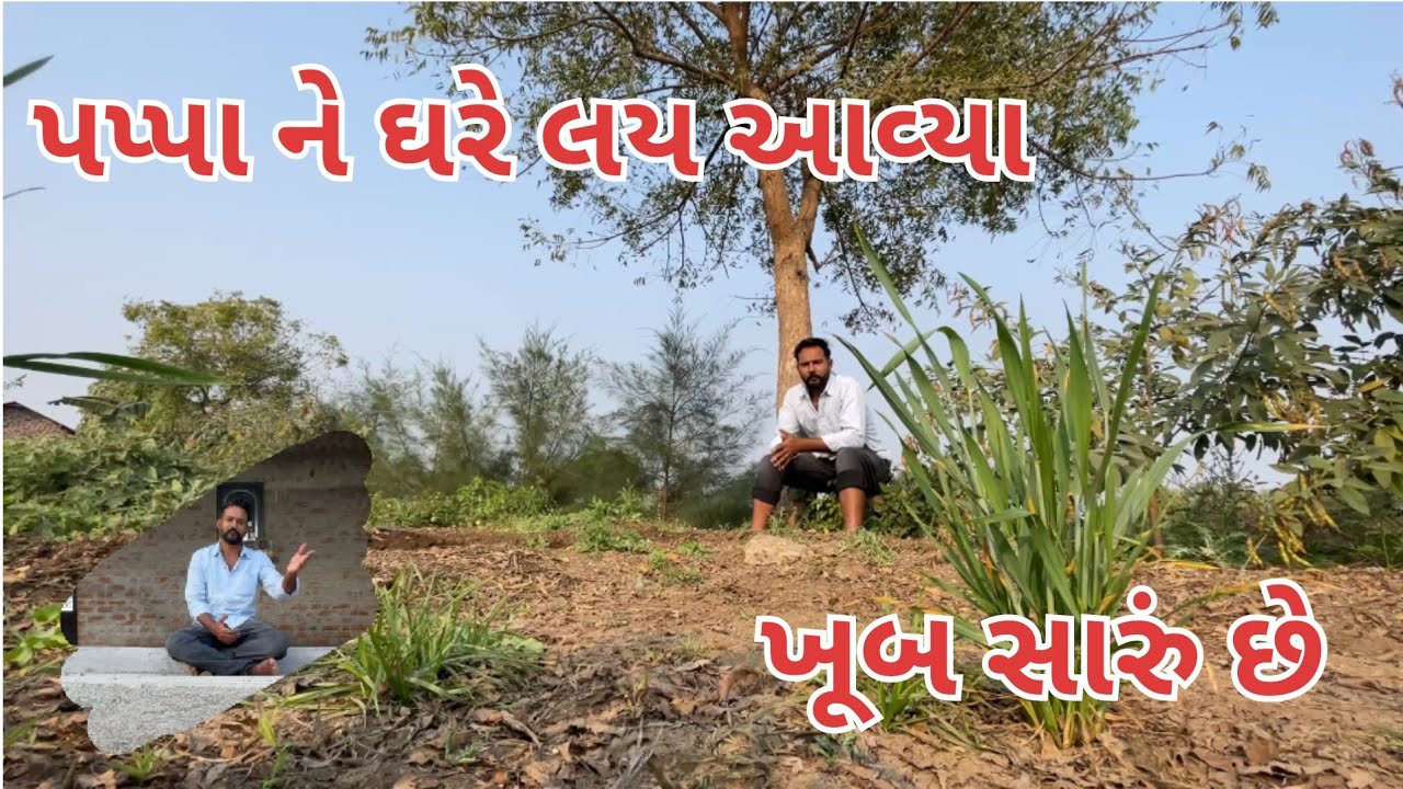 પપ્પા ને ઘરે લય આવ્યા | એમની તબિયત માં ઘણો સુધારો છે | વાડી માં ધ્યાન દેવું પડશે હવે | village life 