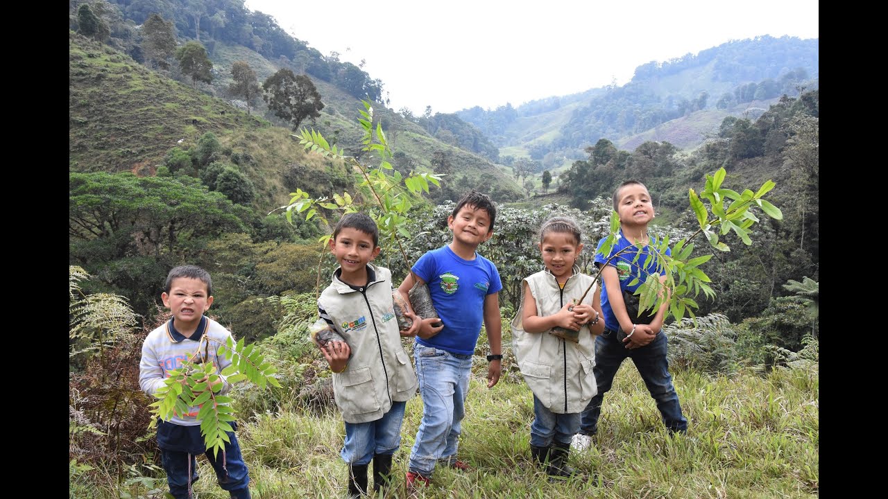 Estudiantes rescatan el Cedro Negro