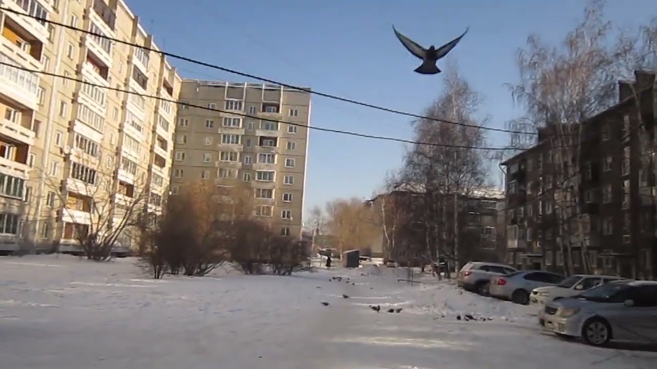 Иркутск Автостанция Ново-Ленино Автостанция 2