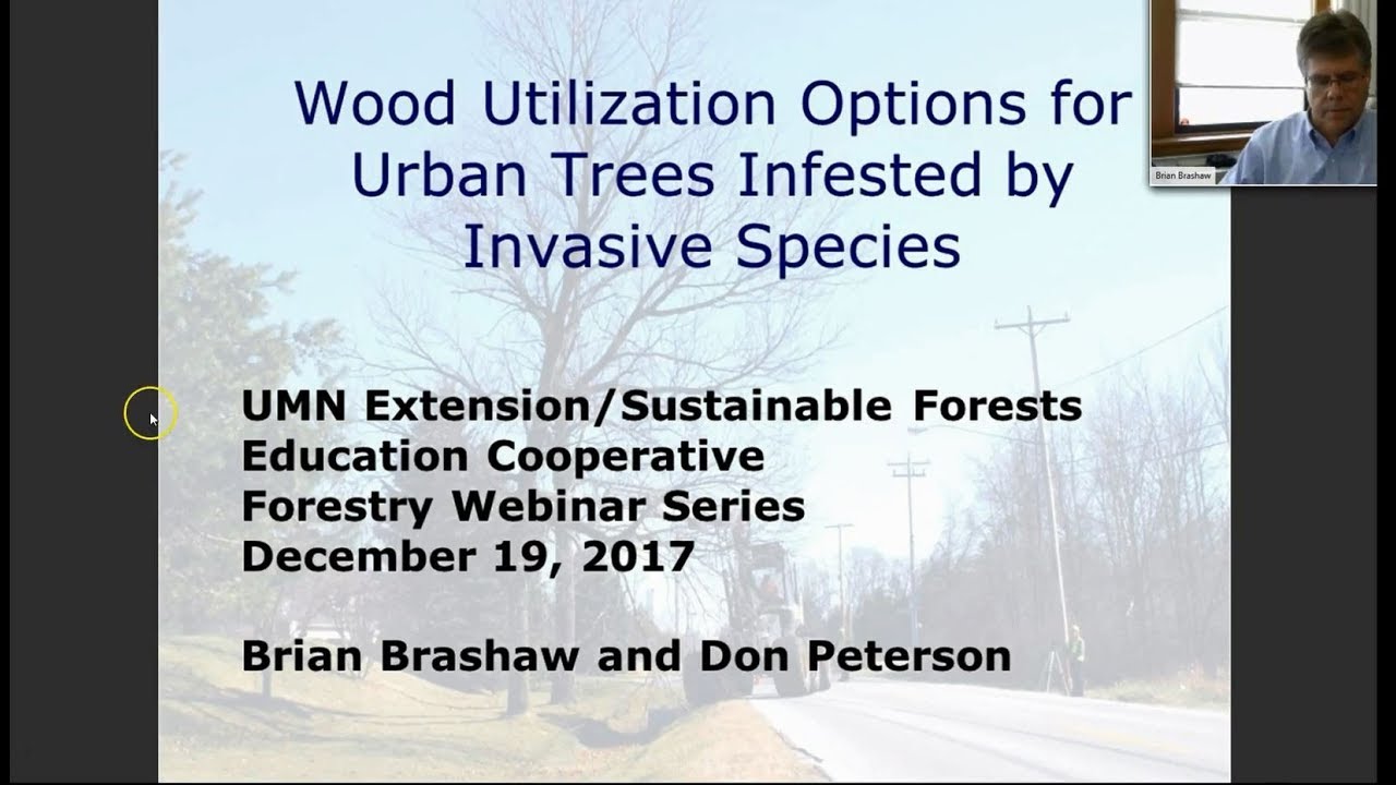 Wood Utilization Options for Urban Trees Infested by Invasive Species