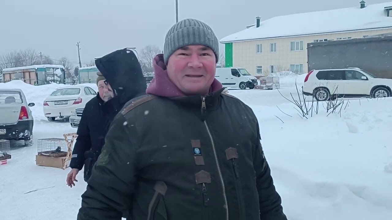 08.02.26 МАЛОЯРОСЛАВЕЦ,РЫНОК ГОЛУБЕЙ 