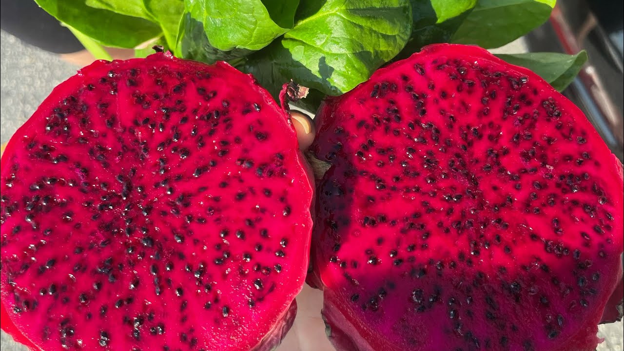 How To Tell If A Dragon Fruit Is Red Inside! 