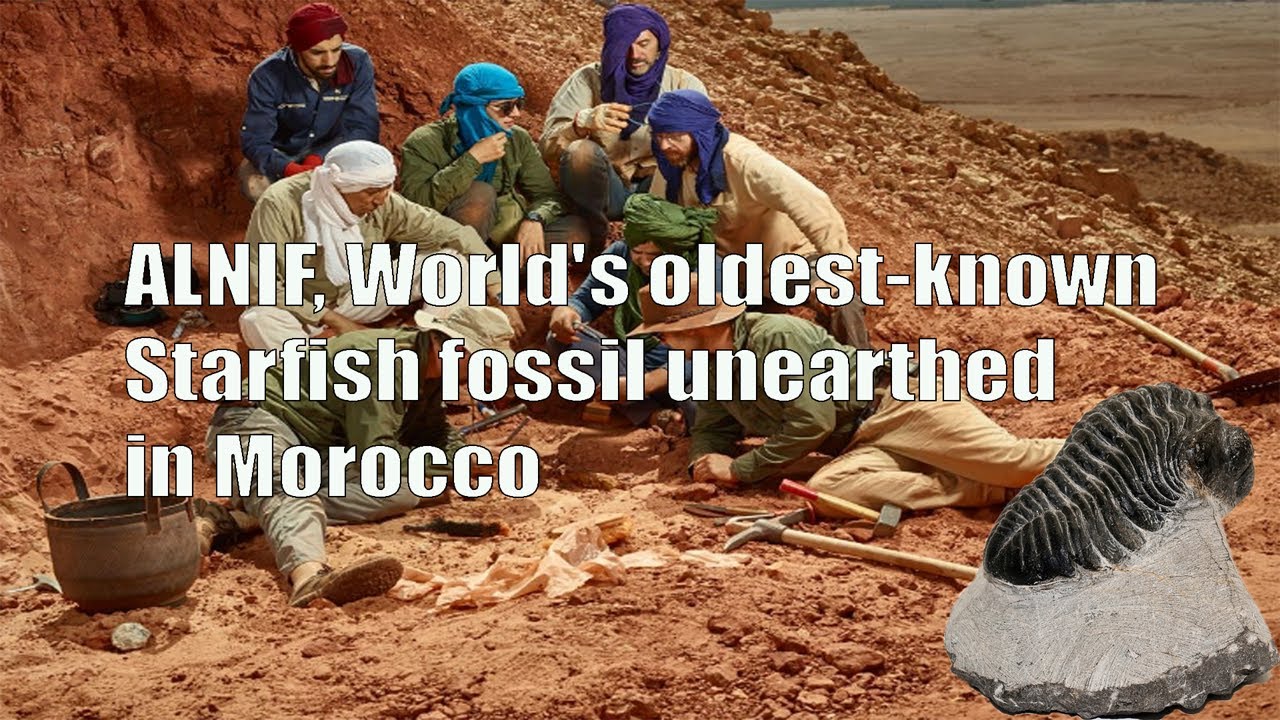 Alnif Basin, World's oldest-known starfish fossil unearthed in Morocco, 540 Millions years !