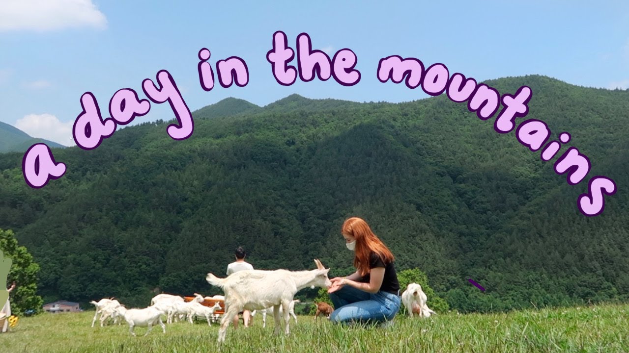 a day in my life in korea 🐐solo trip to a goat farm and cafe VLOG ~ a studio ghibli dream