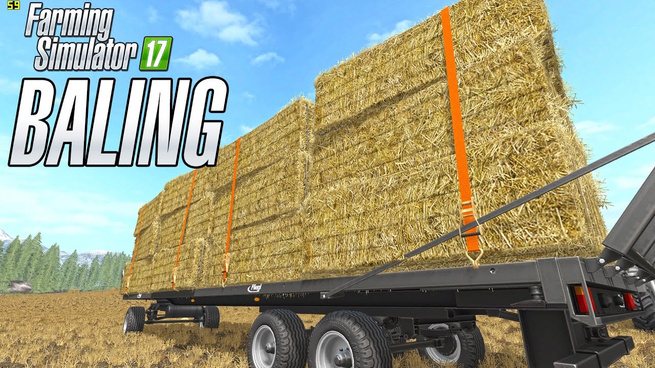 Straw Baling in  Goldcrest Valley