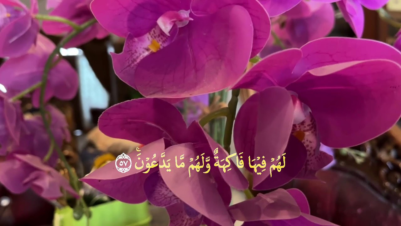 👉 Yosin surasi to‘liq 83 oyat | Yurakni tinchlantiruvchi go‘zal qiroat