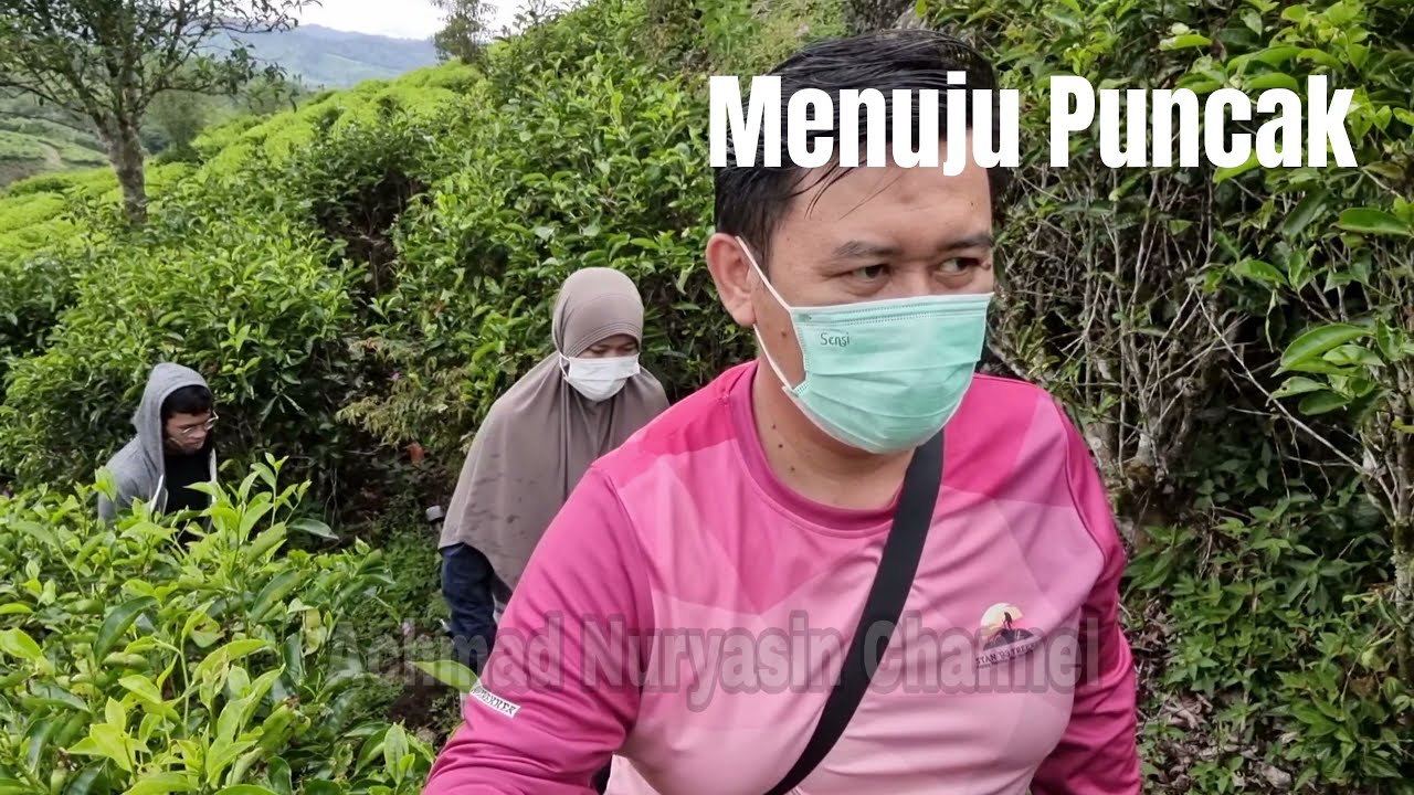 Trekking Kebun Teh ... #trekking #kebunteh #familytime #drone #dji