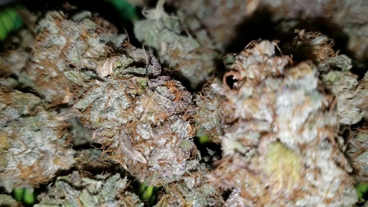Cookie Berries... 👌🏽🔥💨