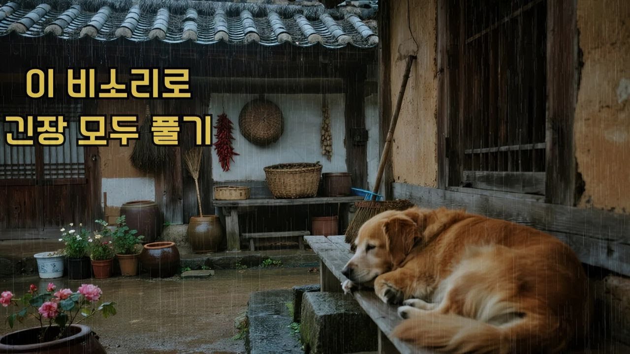 💤빗소리에 잠긴 시골 오두막, 마당을 바라보며 잠드는 강아지 | 자연 치유 ASMR