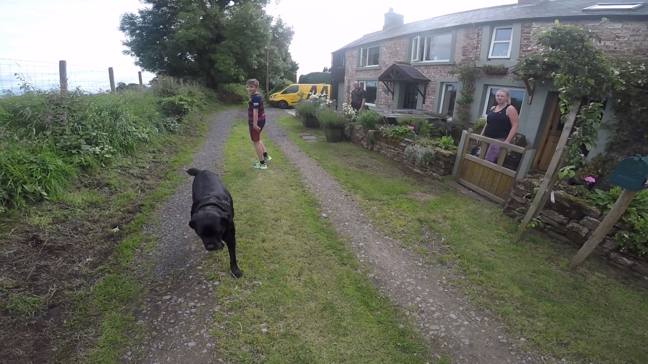 afternoon cross country run (with GO PRO)