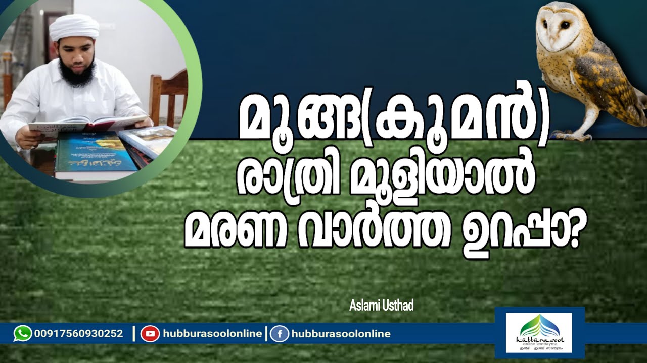 മൂങ്ങ രാത്രി മൂളിയാൽ മരണം ഉറപ്പോ? | Would hear death news if the owl make a sound at night? | Aslami
