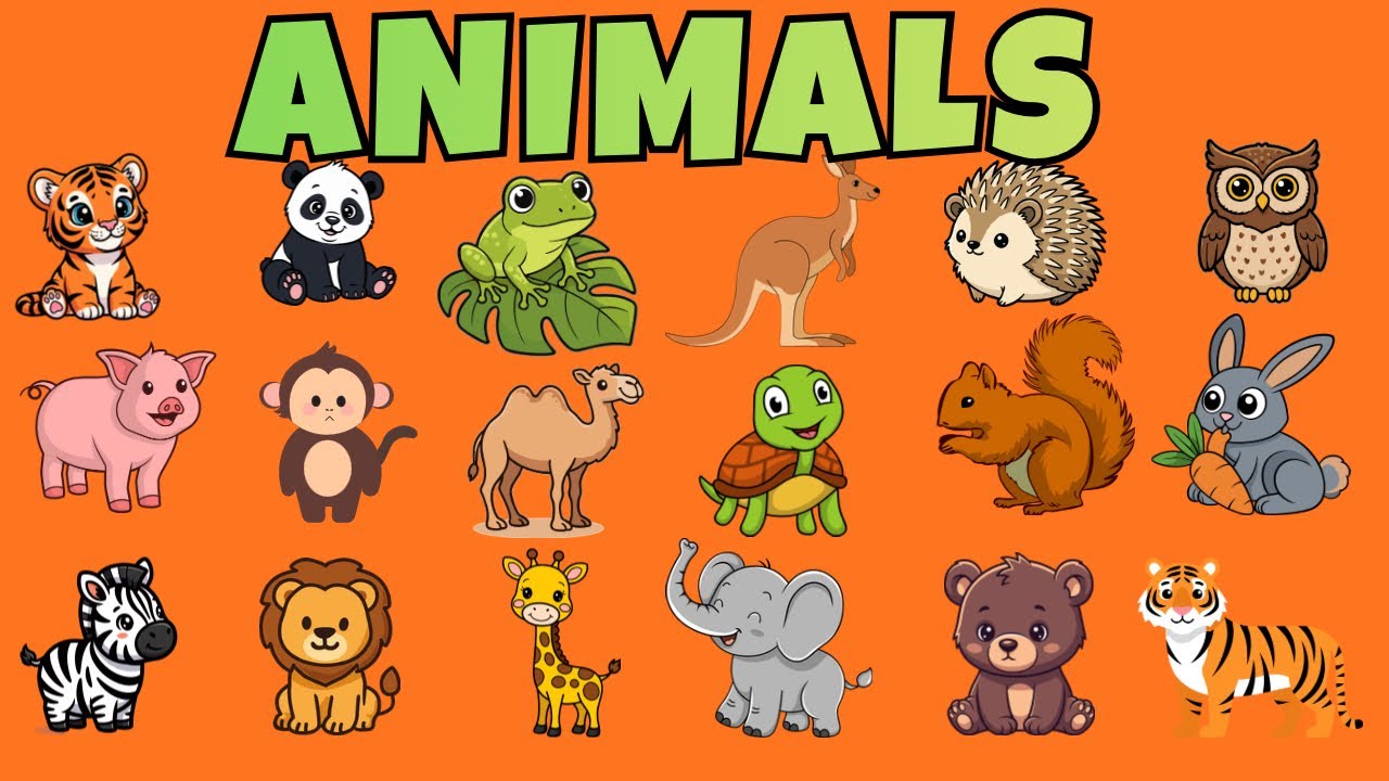 20 Animals Names for Kids | Animals Names for baby